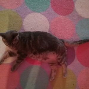 Meet your Posher, Mikayla